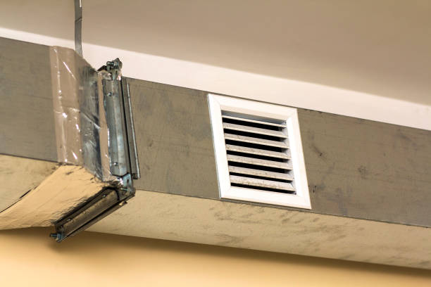 Best Air Duct Sanitizing Services  in Abaster, AL